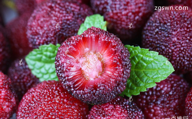 夏天吃什么水果好 夏天最适合吃的十种水果
