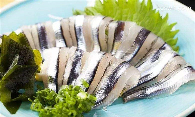 日本银带鲱