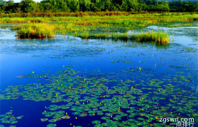 紫菱湖国家级湿地公园
