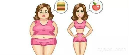 如何通过减肥食谱一周瘦10斤